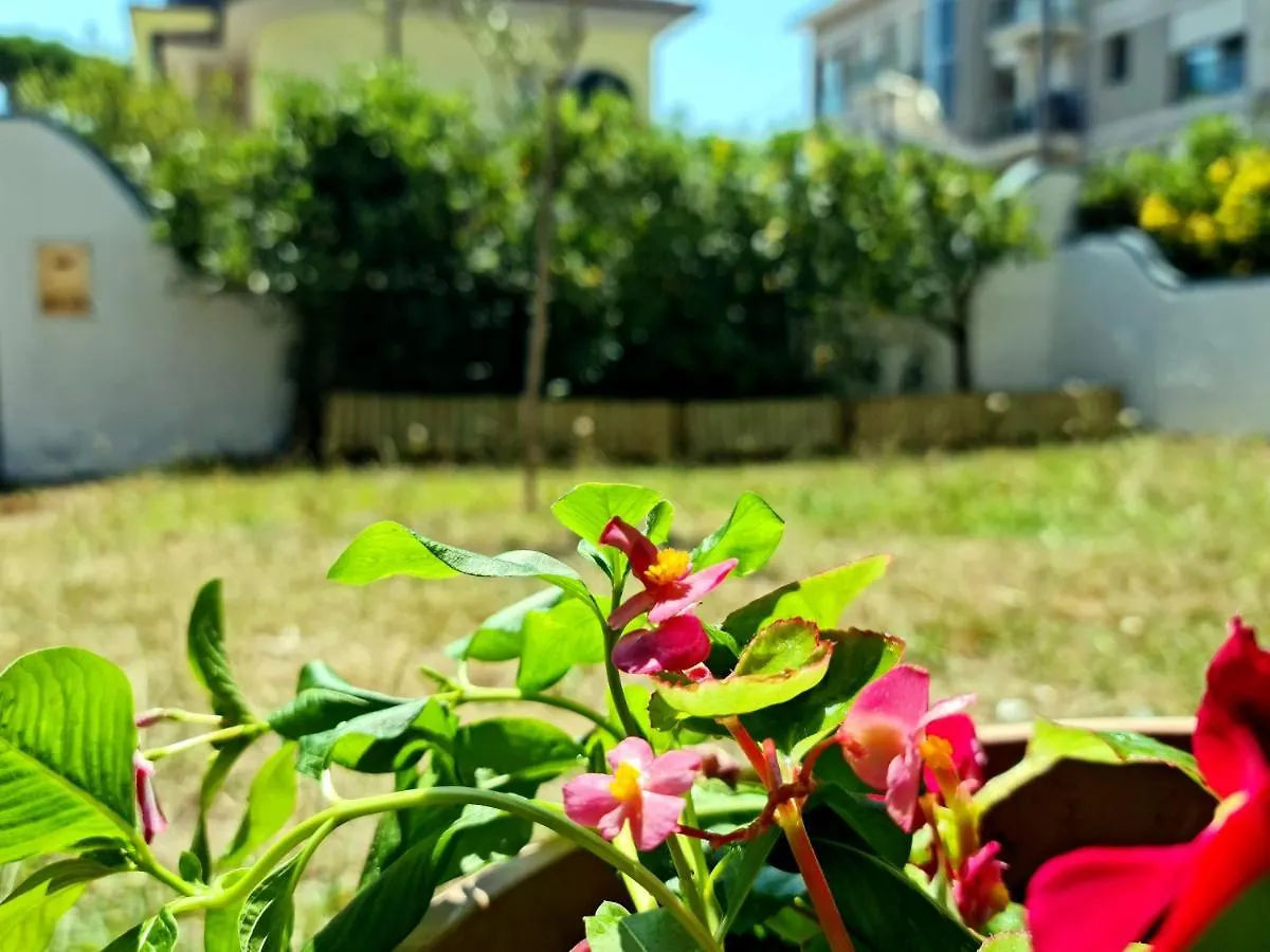 Villa Versilia Lido di Camaiore